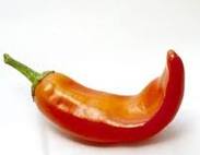 Κηπουροί… σε κατακόμβες!!!