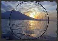 Η ενημέρωση στην απόχη…