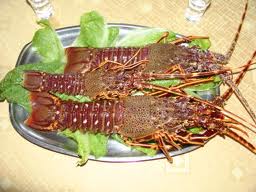 Τα έφαγε... η Άντα Παπανδρέου με την μητέρα της!