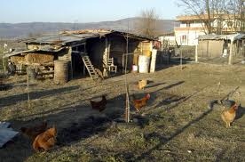 Το "κοτέτσι" της ντροπής...