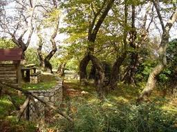 Οκτώβριος, ο μήνας του μεγάλου λαϊκού ενθουσιασμού