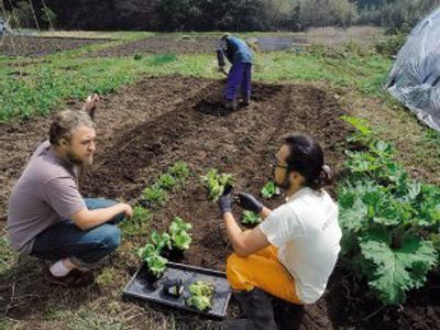 «Πράσινα» επαγγέλματα στο γαλάζιο ορίζοντα…