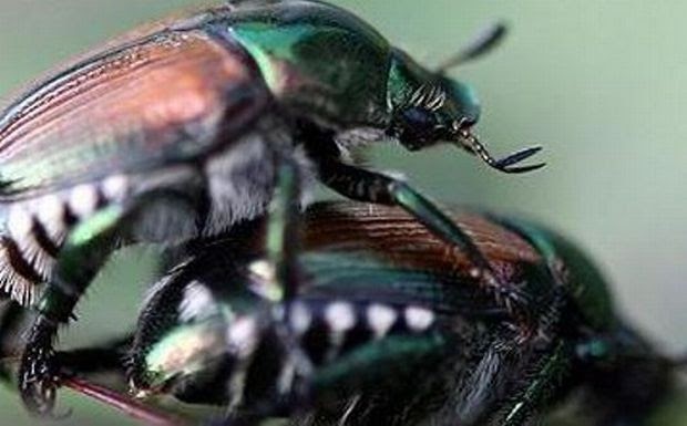 Νόμπελ για... "τρελούς" επιστήμονες