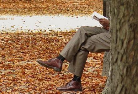 Μυθιστόρημα 50.110 λέξεων δεν περιέχει το γράμμα Ε!