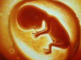 Οι φιλοσοφίες του Μπάμπης