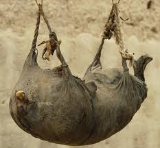 Θα σε κάνω τουλούμι στο ξύλο…