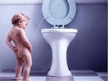 Παγκόσμια Ημέρα Δημόσιας Τουαλέτας