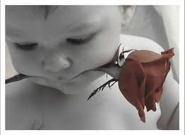 Παιδιά του κόσμου, συγνώμη!