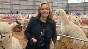 Ερωτικά παιχνίδια στον "αέρα"!