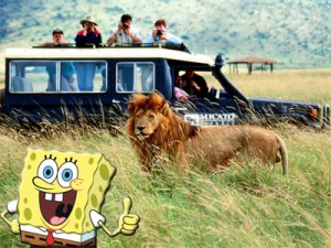 «Σαφάρι» και «σφουγγάρι»!!!