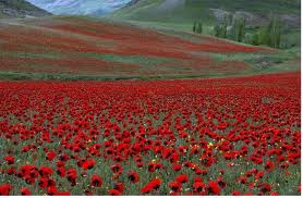 Η μητέρα γιορτάζει στο «Μητέρα»