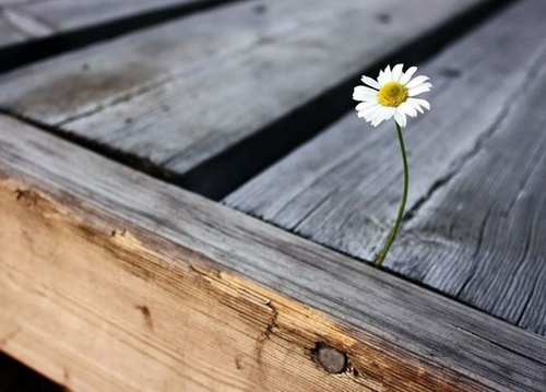 Φωτογραφίες που σε κάνουν να δακρύσεις…