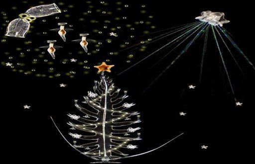 Ο Αστερόκοσμος… στη Θεσσαλονίκη 