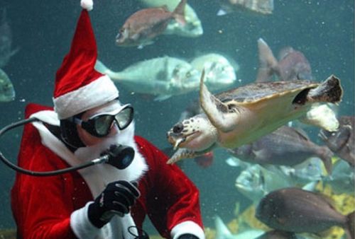 Ο Θαλάσσιος Άγιος Βασίλης της Κρήτης!!!