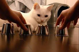 ΜΟΝΑΔΙΚΟ! Παίζοντας το «εδώ παπάς εκεί παπάς…» με τη γάτα του (βίντεο)