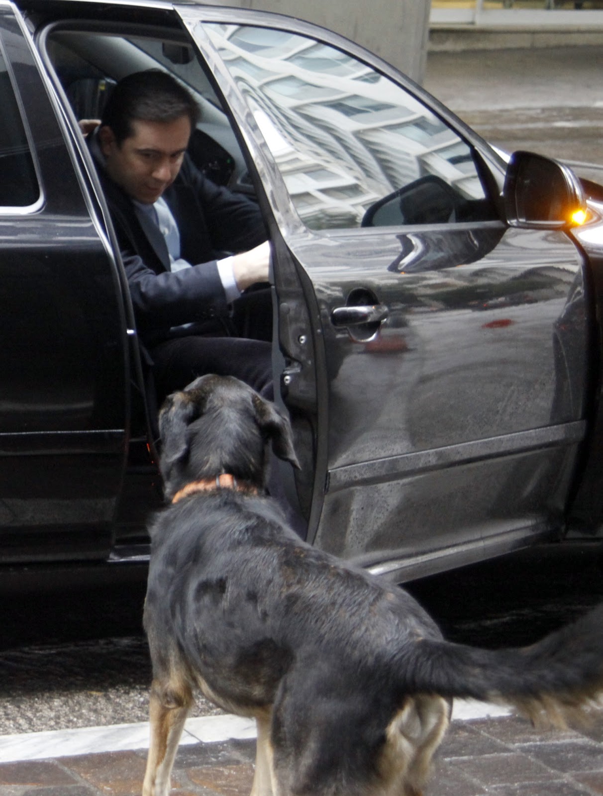 ΑΣΥΛΛΗΠΤΟ: Τους πήραν στο κυνήγι τα σκυλιά… στο Οικονομικών!!! (βίντεο)