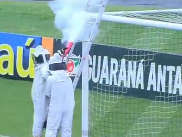 Το μελίσσι στα γκολπόστ!!! (ΒΙΝΤΕΟ)