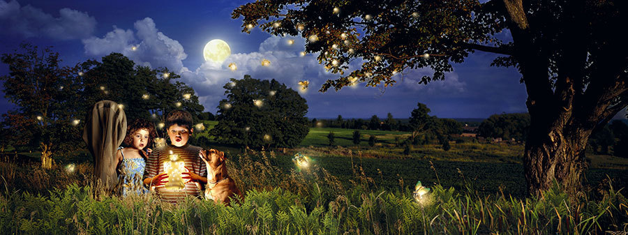 Πυγολαμπίδες! Οι κωλοφωτιές των παιδικών μας χρόνων... 