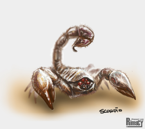 Ο σκορπιός και ο βάτραχος