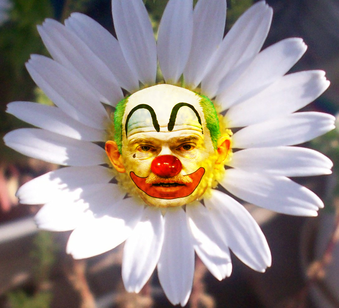 Πάρε πάρε…  Τα 100 καλύτερα σαρδάμ… της τηλεόρασης!!! (video)