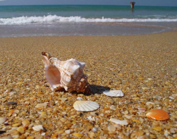 Λαλάρια: Παραλία ή πέτρες του γιαλού;