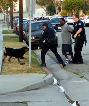Αστυνομικός σκοτώνει σκύλο… εν ψυχρώ!!! (βίντεο)