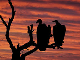 Για ένα κωλοεισιτήριο…