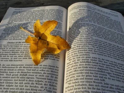 Τι είναι το μυθιστόρημα; Ένας πιστός φίλος ή μια συγγραφική τελετουργία;