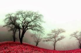 5 πράγματα για τα οποία θα μετανιώσουμε...