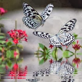 Ένα συγκινητικό βίντεο που θα αλλάξει τη ζωή σας!!!