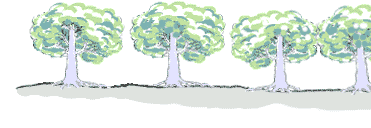 Απλές Ελληνικές συνήθειες που ΑΠΑΓΟΡΕΥΟΝΤΑΙ σε άλλες χώρες…