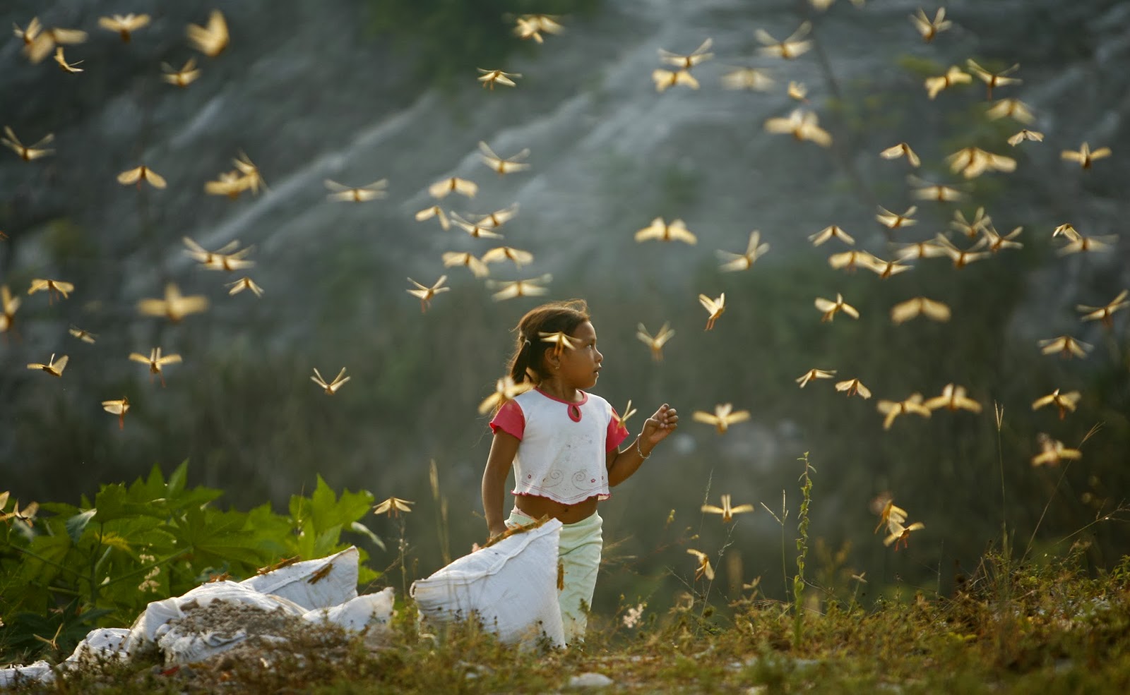 Ο σκορπιός και το παιδί που κυνηγούσε ακρίδες