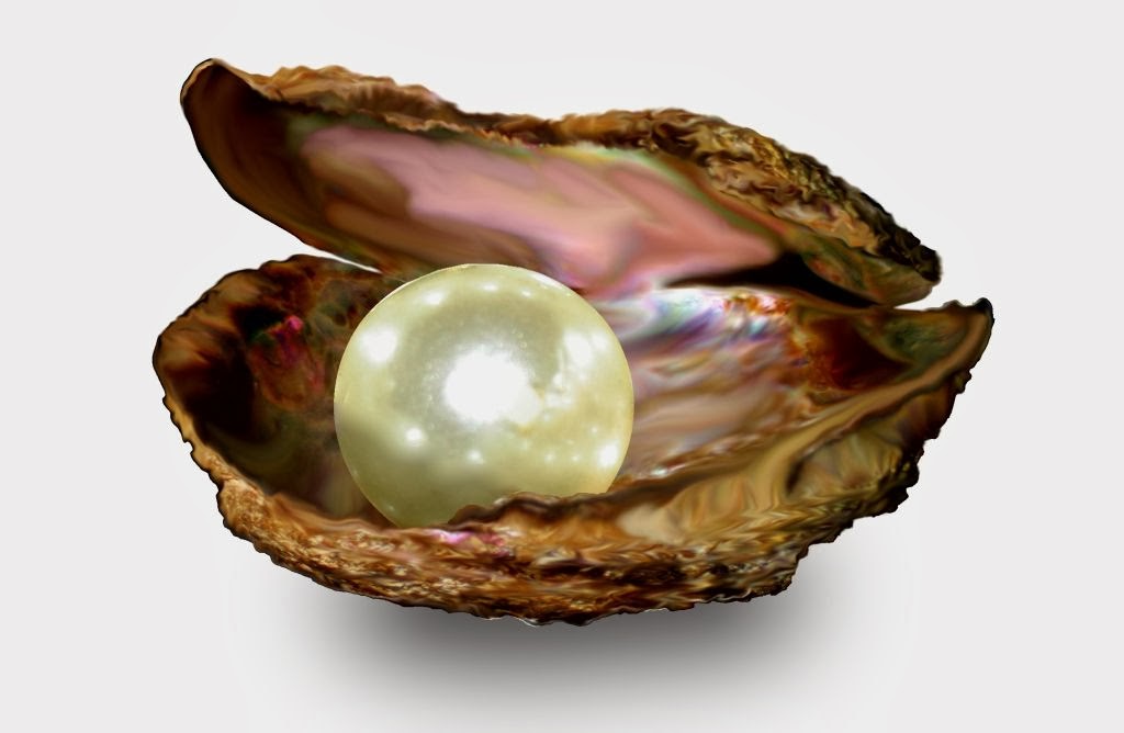 Πόθεν έσχες μαργαριτάρια… που «βγάζουν μάτι»!!!