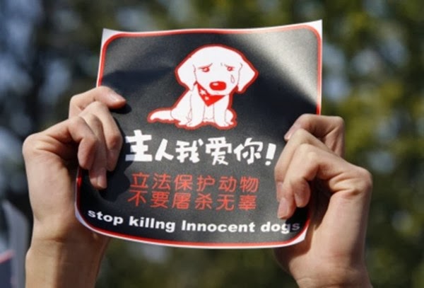 Σκυλίσιο κρέας στα σούπερ μάρκετ της Ελλάδας...