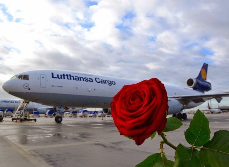 Εxtra δρομολόγια για μεταφορά τόνων τριαντάφυλλων!!!