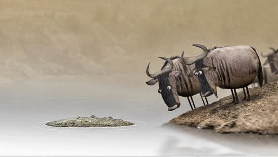 Ποτέ μη διαφωνείτε με έναν ηλίθιο… (video)