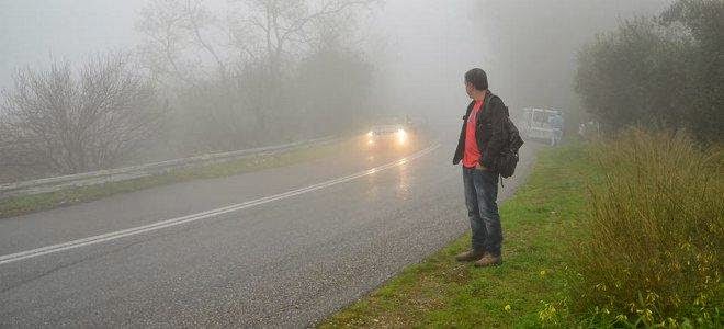 Mε λασπωμένες γαλότσες, δίπλα σε μια αγελάδα, ο Σταύρος Θεοδωράκης... (foto)