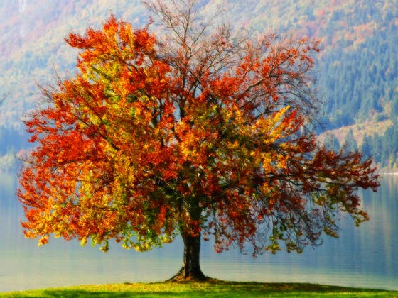 Test: Ποια εποχή σας ταιριάζει καλύτερα;