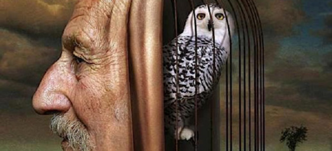 Μια «μαχαιριά» για τους ανύπαρκτους Έλληνες διανοούμενους...