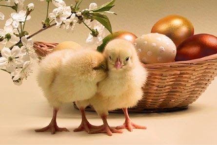 Ευχές αγάπης...