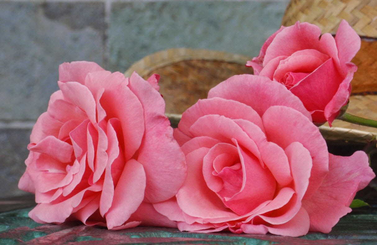 Ευχές για όλες τις περιστάσεις!!! Ένας μοναδικός οδηγός...