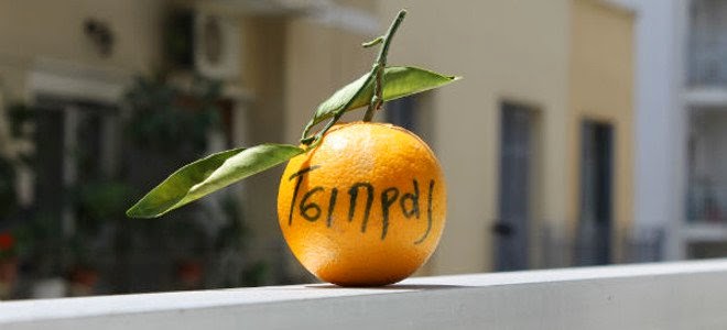 Ένα «Πορτοκάλι Τσίπρας» την ημέρα... σου δίνει εξουσία!!!