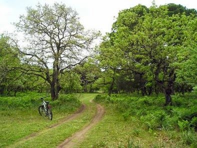 Λαχίδες για όλους μας!!!