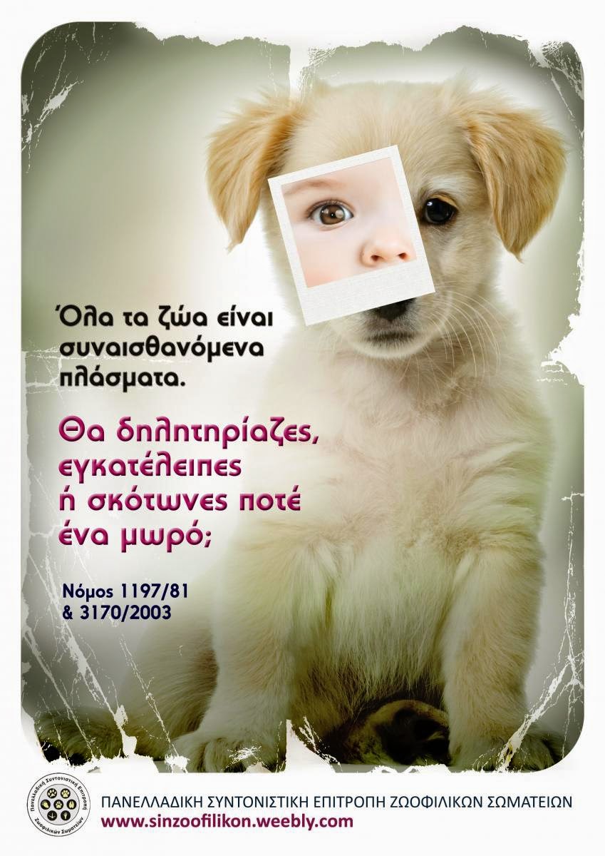 Τα ζώα… δεν είναι σαν τα μούτρα μας!!! (foto)