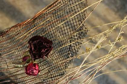 Ετοιμάζει το… στρατηγείο της η Δήμητρα!!!