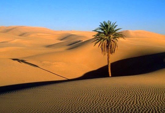 Ψυχολογικό τεστ της ερήμου!!!