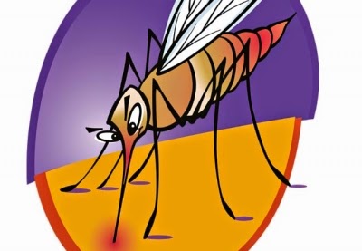 Τα κουνούπια αγαπούν την μπύρα?