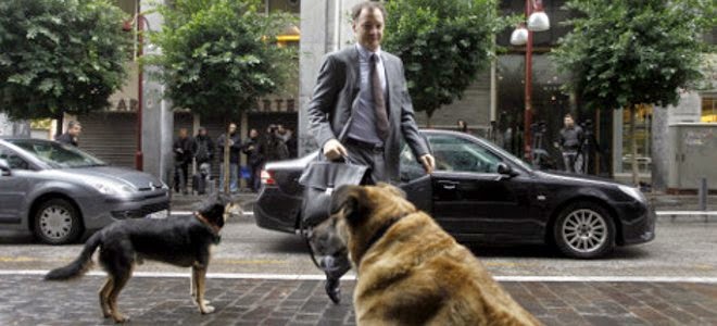 Τι να κάνετε αν σας επιτεθεί σκύλος…