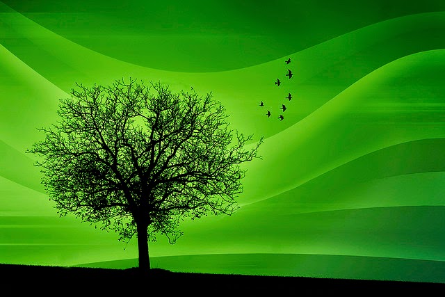 Το κουνάνε... το δέντρο στο Προεδρικό μέγαρο!!!