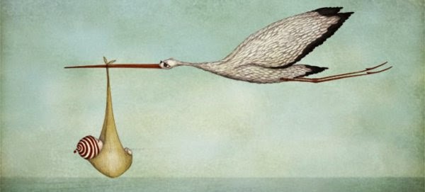 Ο πελαργός φέρνει τα μωρά: Παράξενοι θρύλοι για τα ζώα από όλο τον κόσμο...